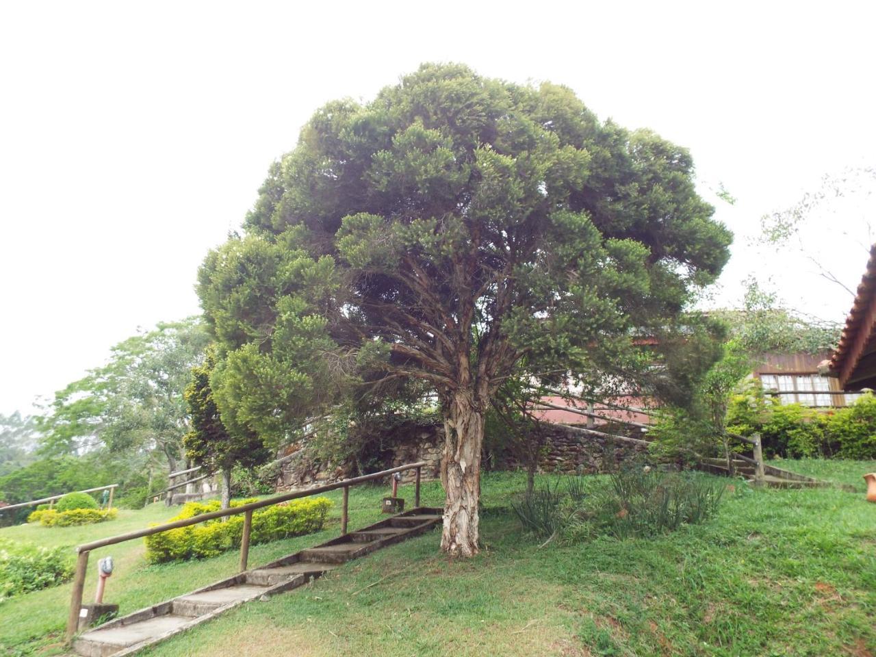 Estrela Da Serra Hotel Fazenda Santo Antônio do Pinhal Екстериор снимка